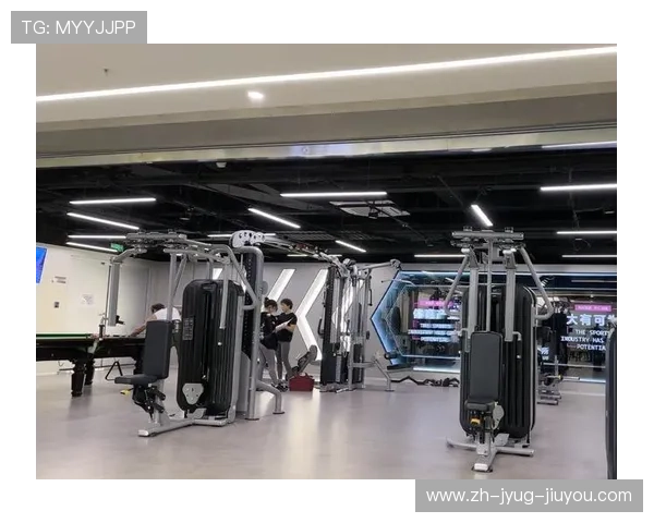 高端健身器械跨境贸易专家:打造智能健身房生态系统