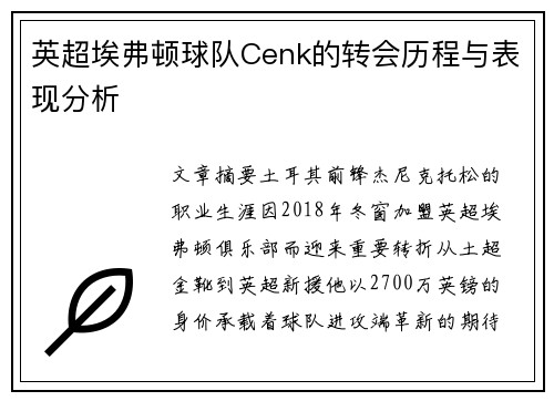 英超埃弗顿球队Cenk的转会历程与表现分析